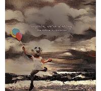 We're Sinking Captain - The Future Is Cancelled (10 Year Anniversary Edition) [VINYL] [Vinilo]