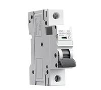WEREVU Disyuntor Gym9 1p MCB Carril DIN 22 0V 400V Disyuntor 6a-63a Tipo de CA 6ka Capacidad Interruptor de Encendido y Apagado (Color : 10a, Size : 1 Pole C Curve)