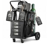 WERKTHOR Carro de soldadura con capacidad de carga de 100 kg, mesa de soldadura con 4 cajones, incluye soporte de gas con cadenas de seguridad, carro de soldadura para todo tipo de soldadores y