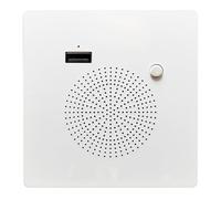 Wesafrae Panel de Carga USB Bluetooth, Panel de Audio Montado en Pared, Modelo 86, Panel de Altavoz Bluetooth.