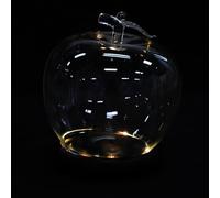 WESIEVYA Cúpula de Cristal Grande Transparente con Base LED Negra, Campana de Exhibición Anti Polvo para Figuras y Artesanías, Vitrina Decorativa para Flores y Recuerdos, Set de 2