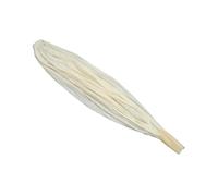 WESIEVYA y de Fiesta de Látex de 182 Cm para Observación Meteorológica Máxima Visibilidad y de 100 G Adecuado para Investigación Atmosférica