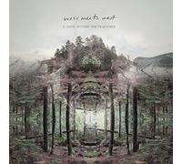 Wess Meets West - A Light Within The Fracture [Vinilo]