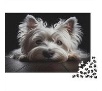 West Highland Terrier, cartón 100% Reciclado, Blanco. Rompecabezas de 1000 Piezas para Adultos, Desarrollo Cerebral, Juegos clásicos, 70x50cm/1000 Piezas.