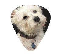 West Highland Terrier con collar,12 púas de guitarra, 3 grosores diferentes para guitarra acústica, bajo y ukelele