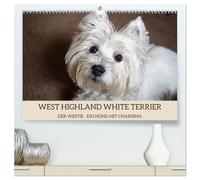 WEST HIGHLAND WHITE TERRIER - DER WESTIE - EIN HUND MIT CHARISMA (hochwertiger Premium Wandkalender 2026 DIN A2 quer), Kunstdruck in Hochglanz: ... dem großen Herz, liebevoll Westie genannt.