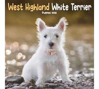 West Highland White Terrier Puppies Mini calendario 2026