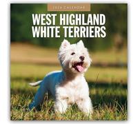West Highland White Terriers 2026 Square Wall Calendar: Original Red Robin Publishing Ltd-Kalender [Mehrsprachig] [Kalender]