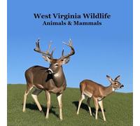 West Virginia Animals and Mammals Kids Wildlife Book: Great Wildlife Book about Animals and Mammals in West Virginia