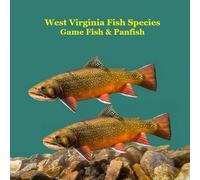 West Virginia Game Fish and Panfish Species Kids Book: Great Book About the Different Types of Fish in West Virginia