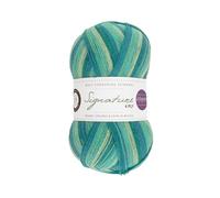 West Yorkshire Spinners Signature 4ply Winwick Mum Collection Seascape 873 - Ovillo de lana para calcetines, 100 g