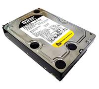 Western Digital 1TB WD RE4 1000 GB Serial ATA II Disco Duro Interno
