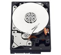 Western Digital 2Pk0308 - WD Negro Wd5003Azex 500 GB 3.5Quot; Disco Duro Interno