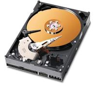 Western Digital 80 GB 7200RPM 8 MB de caché Bulk/OEM IDE Disco Duro WD800JB