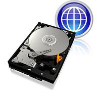 Western digital Blue - Disco Duro Interno de 320 GB (ATA 100)