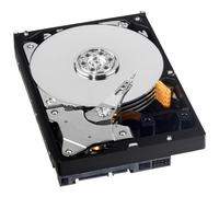 Western Digital Caviar 2 TB SATAII 64 MB de caché Verde de 3,5 Pulgadas Disco Duro Interno OEM 3,5