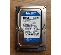 Western Digital Caviar 250Gb Ata/100