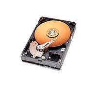 Western Digital Caviar - Disco Duro de 200 GB (HDD, UIDE 100, 7200 RPM, 8 MB de caché)