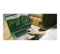 Western Digital - Green SN350 500 GB M.2 PCI Express 3.0 NVMe TLC