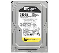 Western Digital RE 3.5" 250 GB Serial ATA III - Disco Duro (3.5", 250 GB, 7200 RPM)