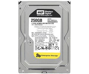 Western Digital RE 3.5" 250 GB Serial ATA III - Disco Duro (3.5", 250 GB, 7200 RPM)