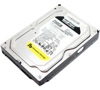 Western Digital RE3 Empresa 250GB Interno 7200RPM 8.9cm (WD2502ABYS) HDD