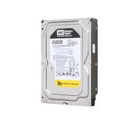 Western Digital RE3 Enterprise 250GB Interno 7200RPM 3.5" (WD2502ABYS) HDD