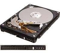 Western digital WD2500AAJB - Disco Duro Interno de 250 GB (SATA, 3.5")