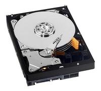 Western Digital WD2503ABYX - Disco Duro Interno de 250 GB (3.5", SATA, 7200 RPM), Negro