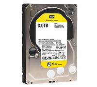Western Digital WD3001FYYG - Disco Duro sólido Interno SSD de 3000 GB
