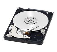 Western Digital WD3200BEKX - Disco Duro Interno de 320 GB (SATA II, 2.5")