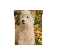 Westie Otoño West Highland White Terrier Perros, Squeeze Top Wallet Bolsa de Almacenamiento para Mujer Monedero pequeño Bolsa de Cambio