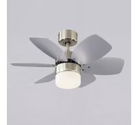 Westinghouse Floral Royal ventilador de techo True