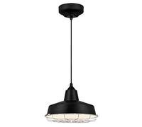Westinghouse Lámpara de Techo Colgante LED de 1 Luz, 13 W, Negro