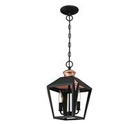 Westinghouse Two-Light Indoor Pendant Lámpara de Techo, Negro Mate