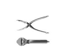 Westmark Cortador de castañas, Con cuchillas dentadas, Longitud: 20 cm, Acero inoxidable, Plateado, 40422260