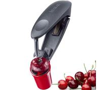 Westmark Deshuesador de Cerezas, Herramienta para deshuesar Cerezas, óptimo para Pasteles y Meriendas Dulces con Cerezas Frescas, Aluminio