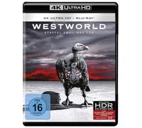 Westworld - Staffel 2 [DVD]