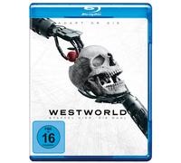 Westworld - Staffel 4 (Blu-ray) Aaron Paul Angela Sarafyan (Importación USA)