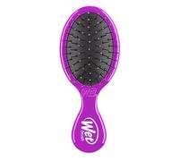Wet Brush Cepillo de pelo Squirt Detangler con cerdas suaves IntelliFlex, Mini desenredante de viaje - (Voilet)