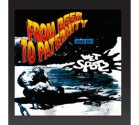 Wet Spots - From Beer to Paternity