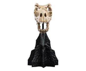 Weta - Mini Estatua de El Señor de los Anillos, Calavera de una Bestia caída, 21 cm