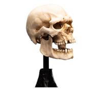 Weta Workshop Figurine