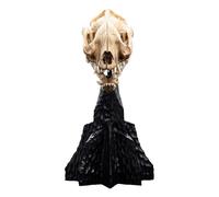 Weta workshop miniestatua de el señor de los anillos de calavera de u