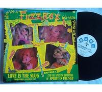 WE'VE GOT A FUZZBOX AND WE'RE GOING TO USE IT Love is the Slug 12"