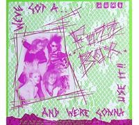We've Got A Fuzzbox And We're Gonna Use It - RULES AND REGULATIONS 12" SINGLE