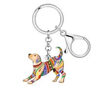 WEVENI Acrílico Labrador Retriever Dog Llavero Laboratorio Regalos para los amantes de las mascotas, Bolso Colgante de Animales Bolso Accesorios para Mujeres Niñas, Labrador amarillo, 43mm x 43 mm