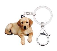 WEVENI Acrílico Labrador Retriever Perro Llaveros Mascotas Llavero Nueva Joyería Para Mujeres Chica Bolso Bolso Coche, Marrón,