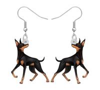 WEVENI - Bonitos aretes de acrílico para perro, diseño de perro salchicha, regalo de chihuahua, para mujeres, niñas, niños, mascotas, Medium, Acrílico, No es una piedra preciosa