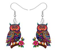 WEVENI Bonitos aretes de búho de acrílico con diseño de búho de dibujos animados para mujeres, amantes de los pájaros, regalos, Medio, Acrílico, Sin piedra preciosa
